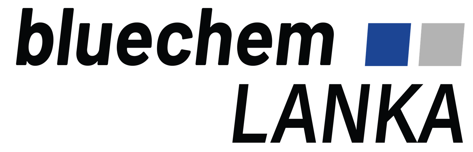 BlueChem Logo
